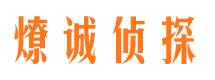 宏伟市场调查